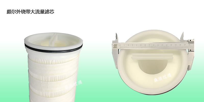 頗爾大流量水濾芯