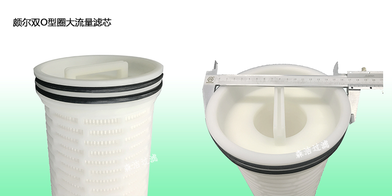 頗爾大流量水濾芯